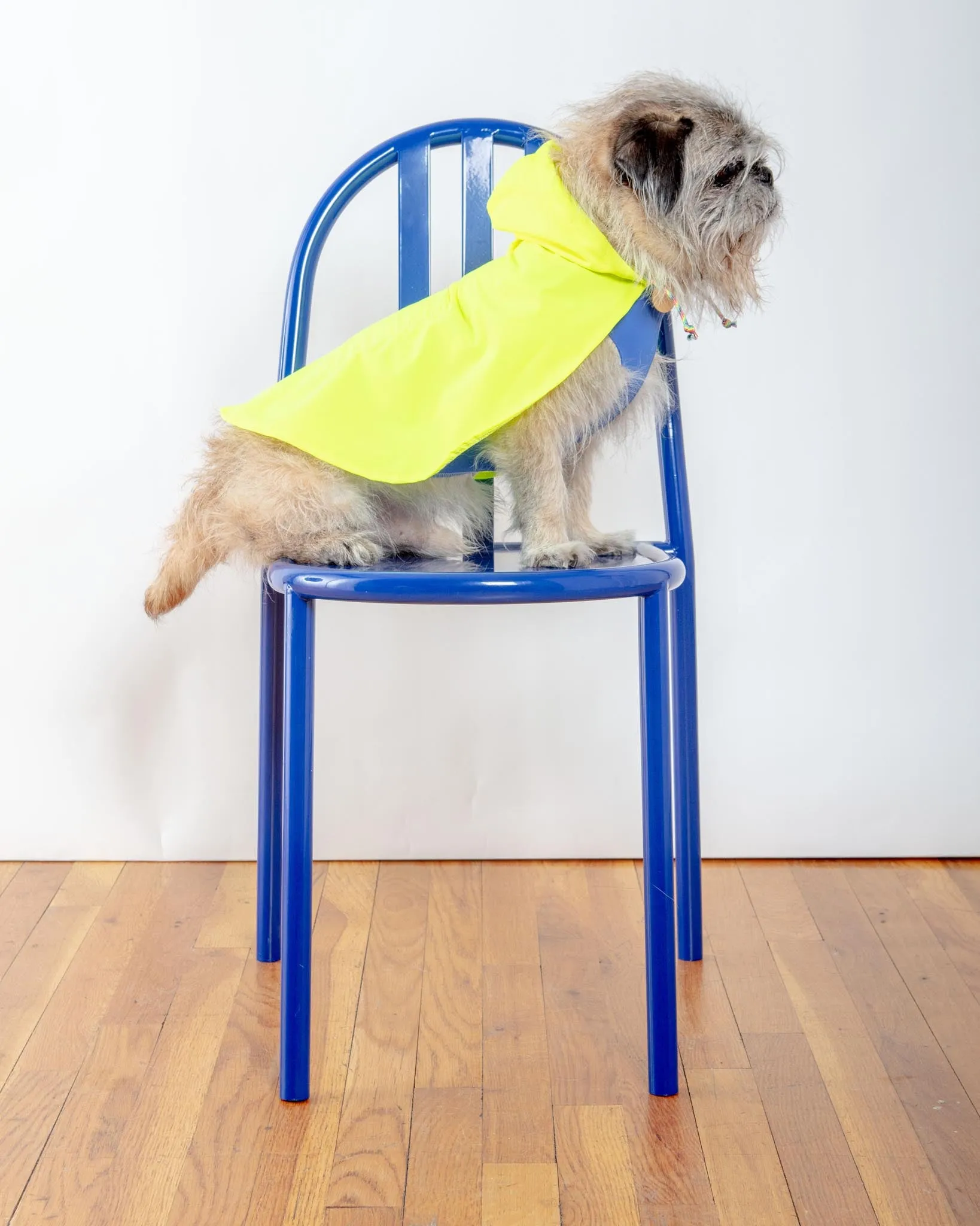 Action Jacket Pull-On Raincoat in Safety Yellow   Blue (Made in NYC)