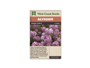 Alyssum - Dwarf Purple (Seeds)