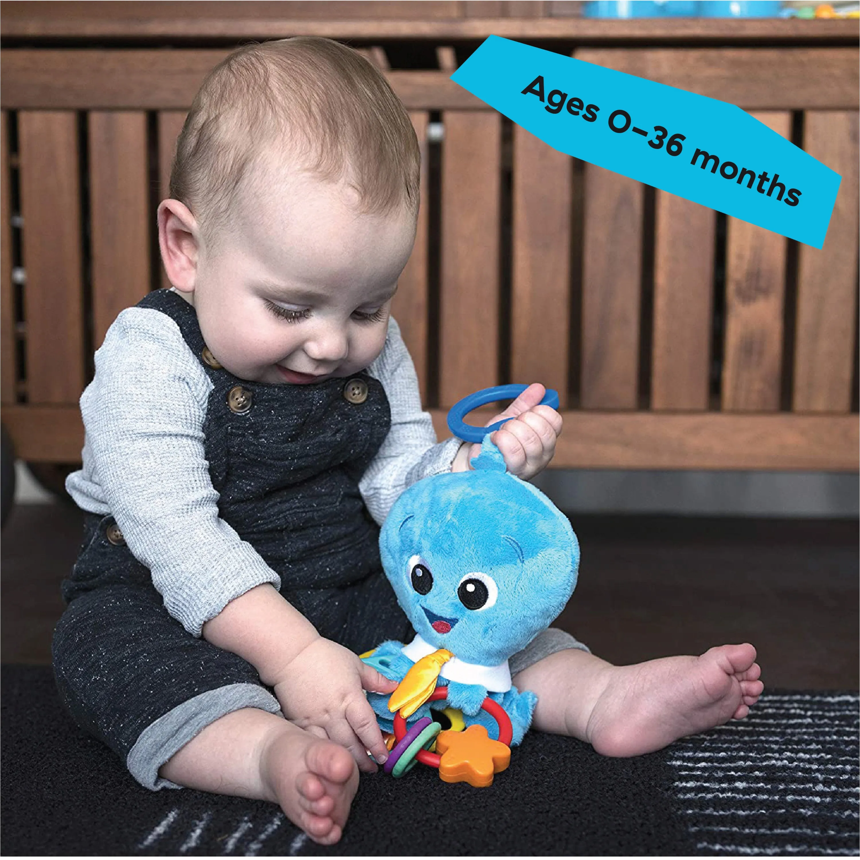 Baby Einstein Activity Arms Octopus Take-Along Plush Toy