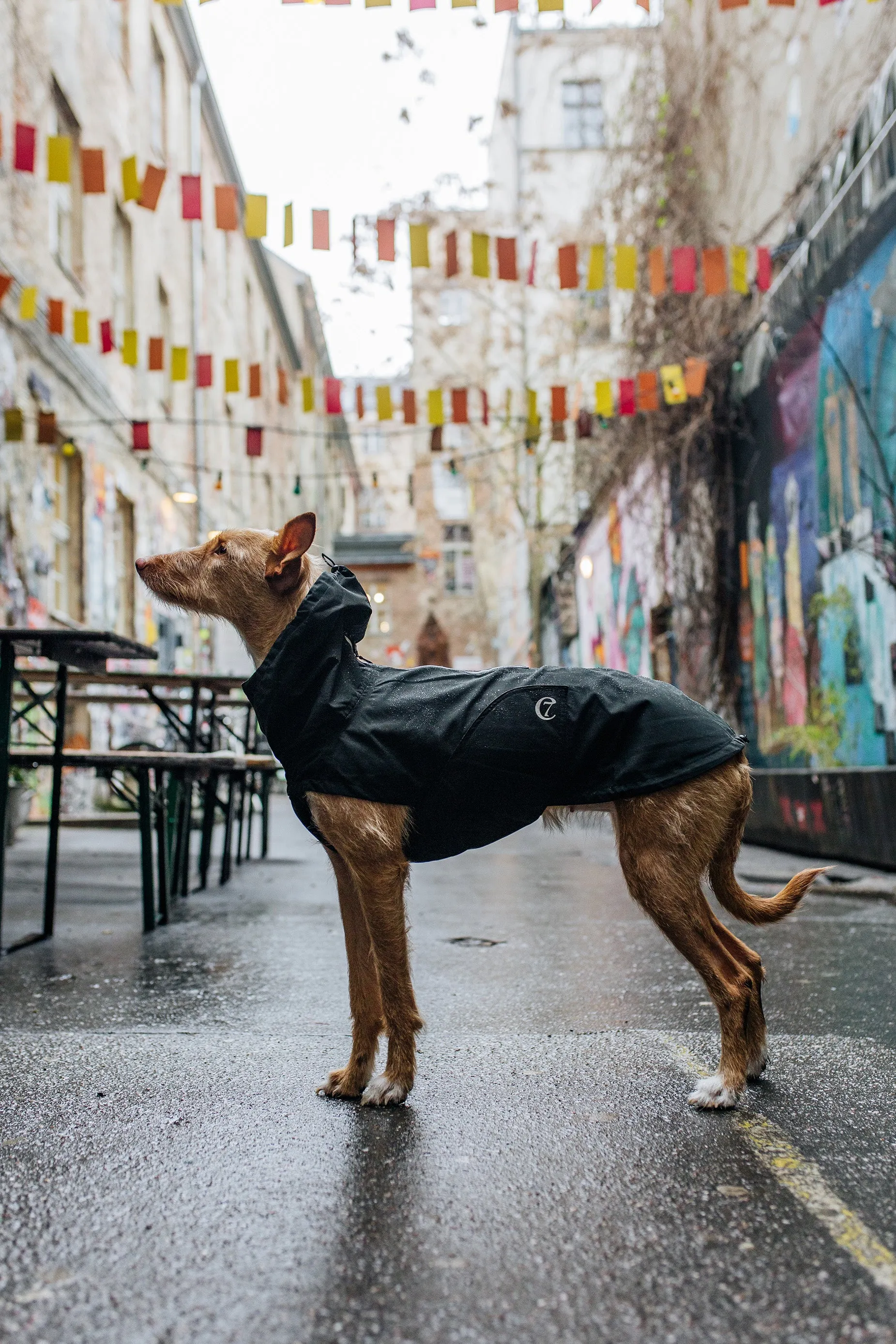 Cloud7 Dublin Dog Rain Coat, Slate