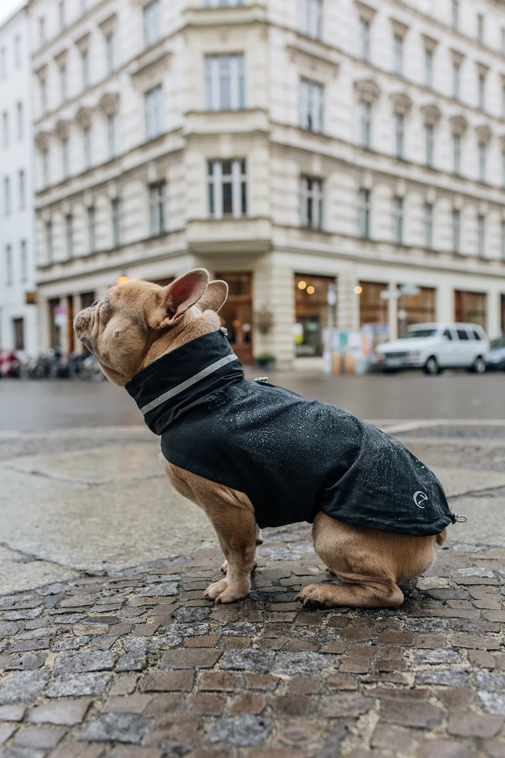 Cloud7 Dublin Dog Rain Coat, Slate