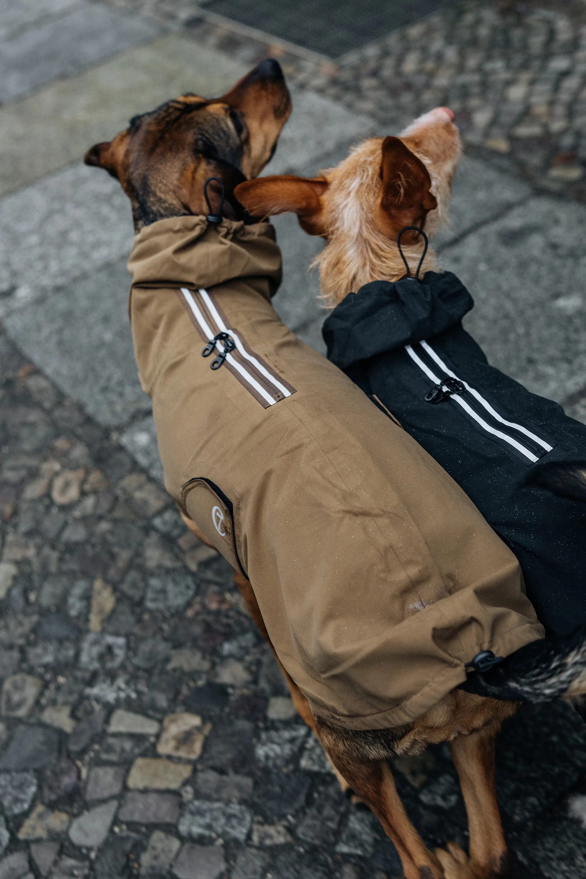 Cloud7 Dublin Dog Rain Coat, Slate