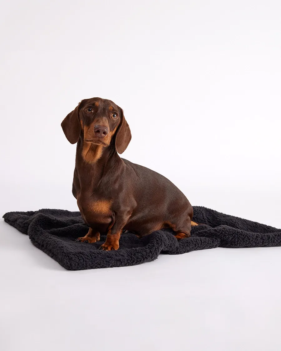 Faux Fur Pet Blanket - Charcoal