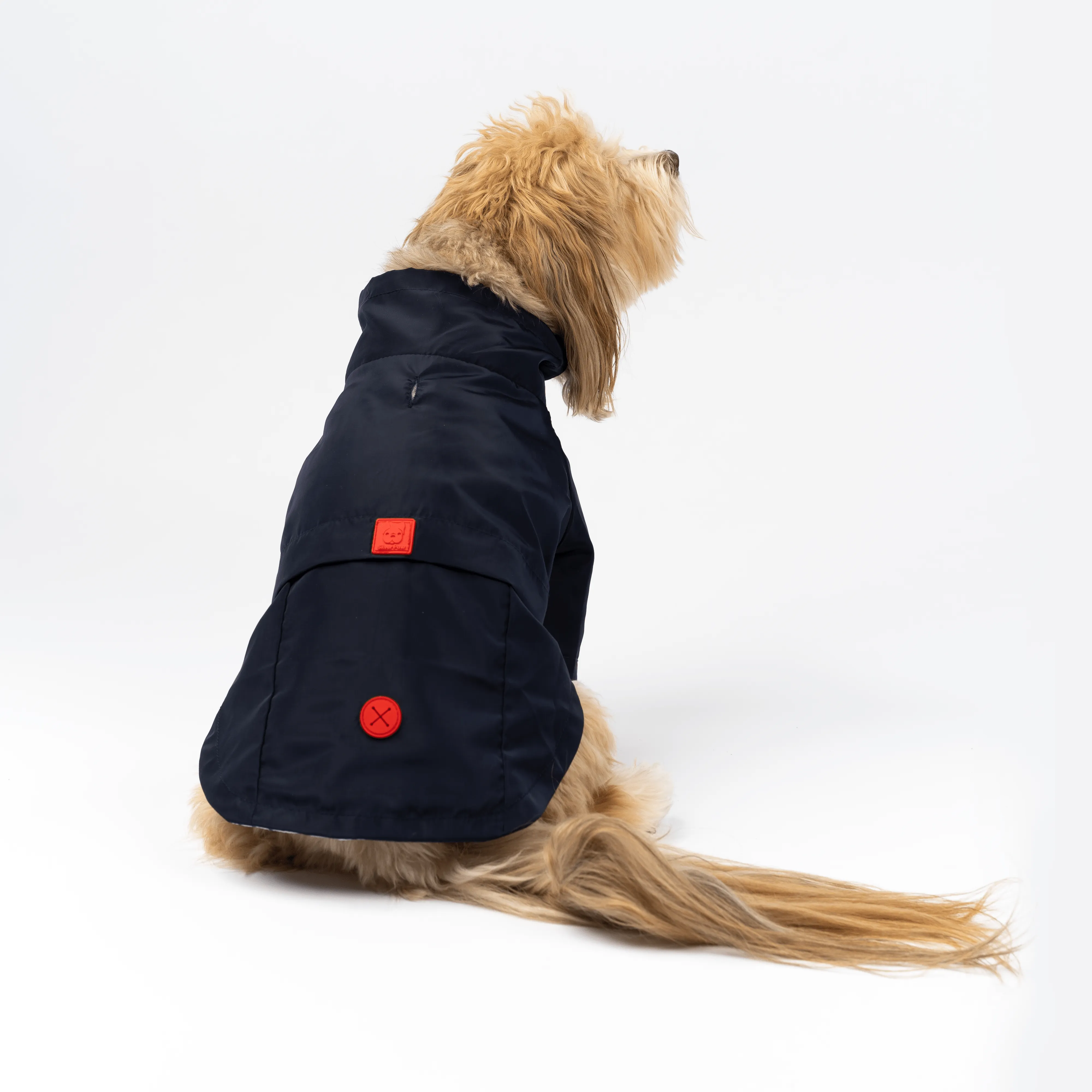 Jean-Paul Dog Raincoat