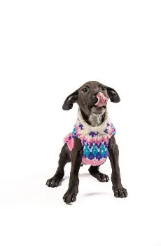 Pink Ski Bum Fairisle Sweater