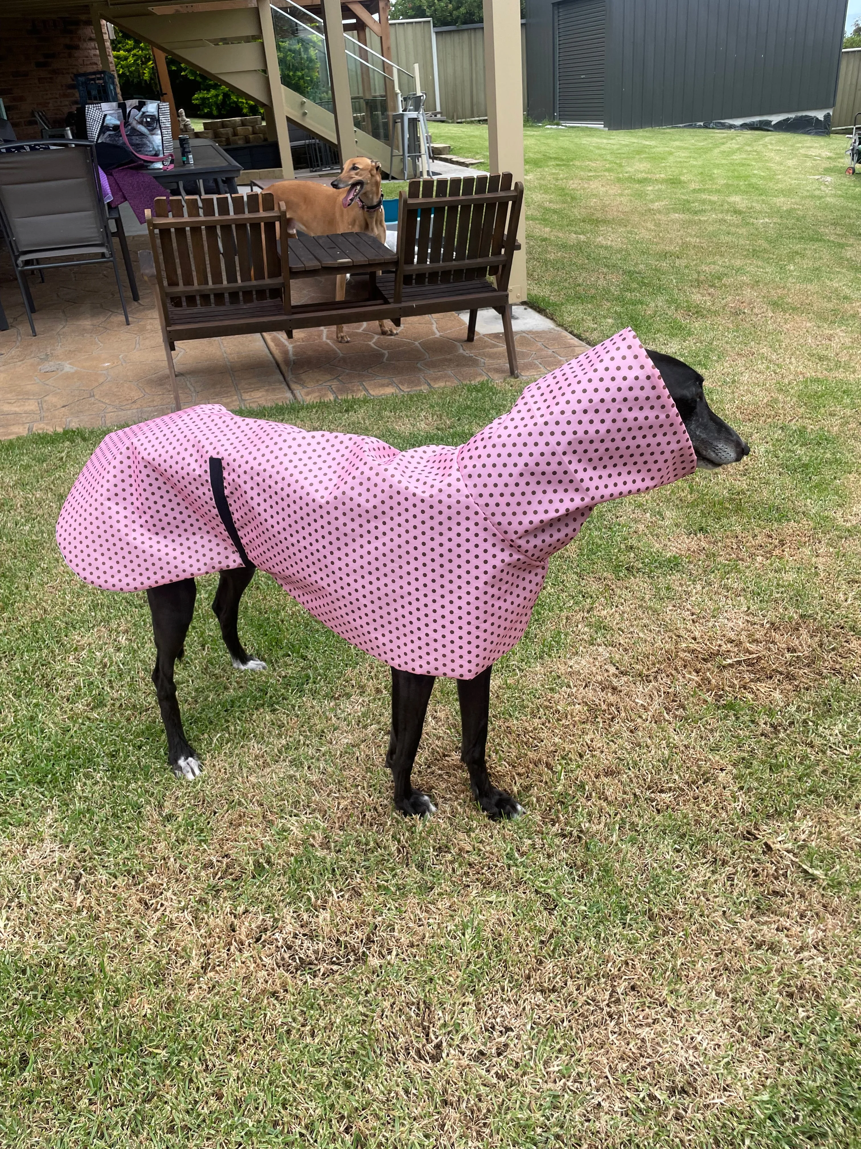 Pink with bronze dotty prints Greyhound coat deluxe style, summer rainwear, washable