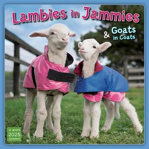 Sellers Publishing Lambies in Jammies 2025 12 x 12 Wall Calendar