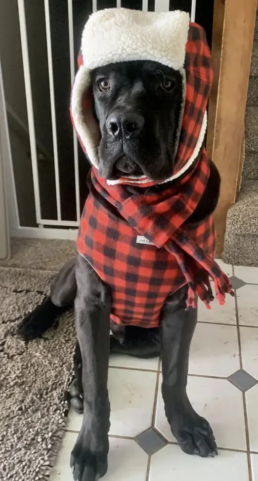 The Ultimate Plaid Warm Fleece Dog Sweater 3 LBS to 120 LBS