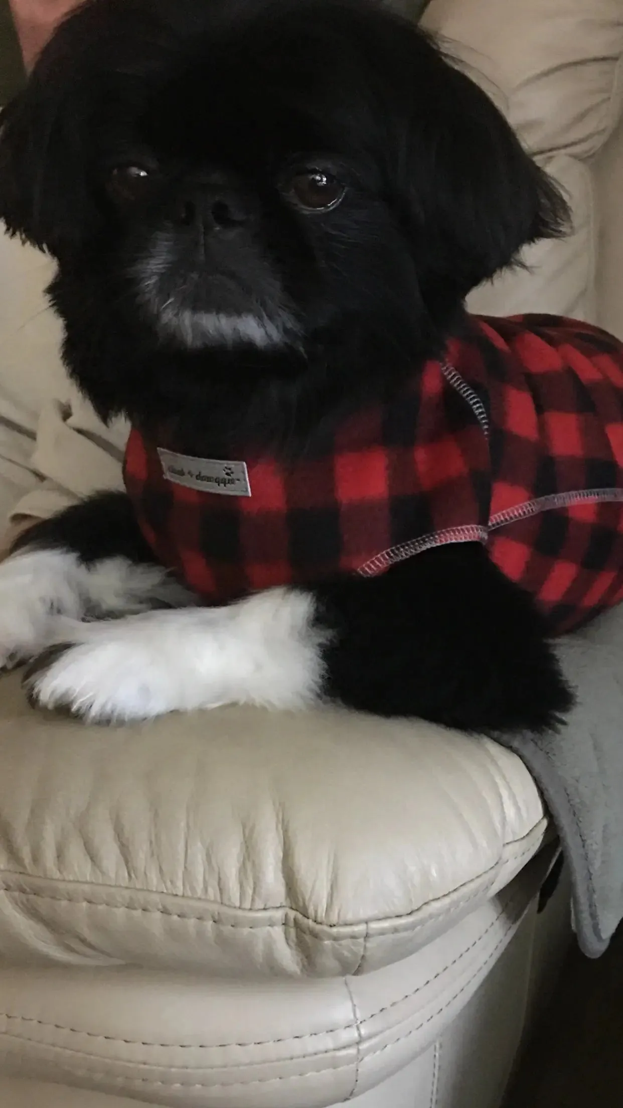 The Ultimate Plaid Warm Fleece Dog Sweater 3 LBS to 120 LBS