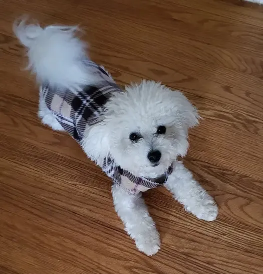 The Ultimate Plaid Warm Fleece Dog Sweater 3 LBS to 120 LBS